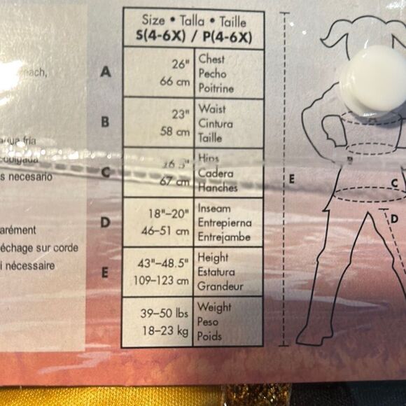 Disney Anna Frozen II  Halloween Costume 4-6 NWT - Picture 5 of 7